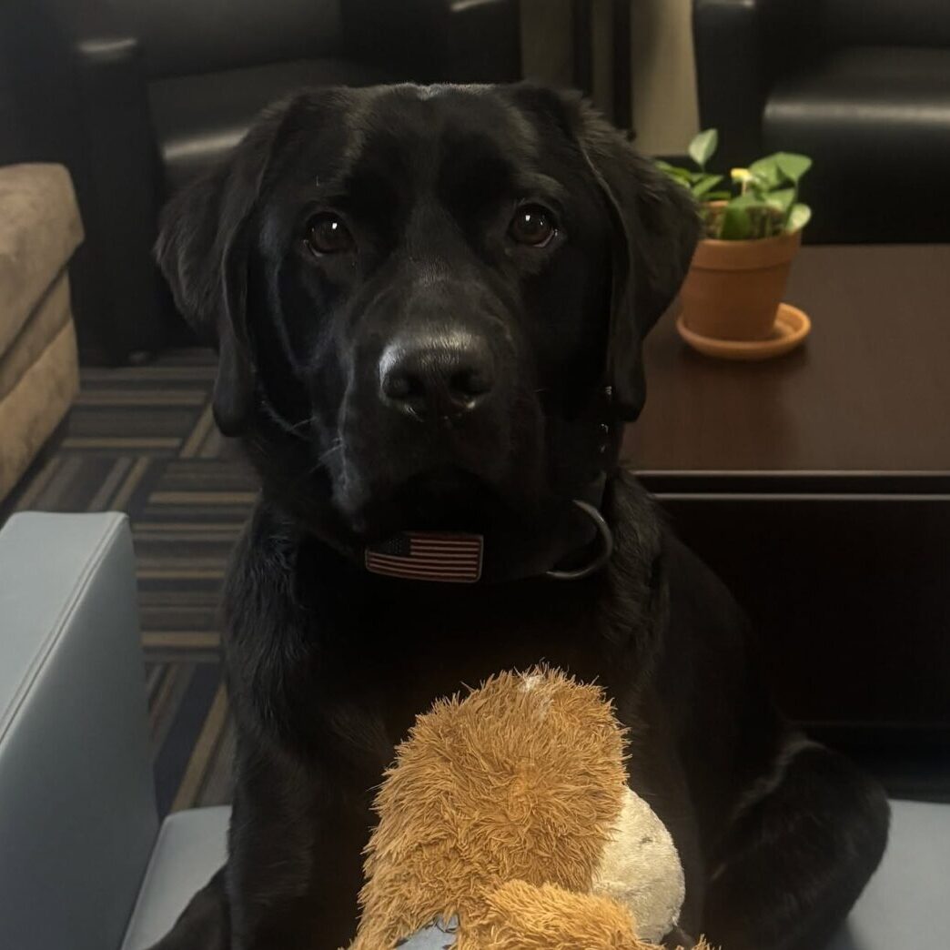 happy-barkday